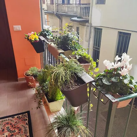 Antico Di Konukevi Tollegno