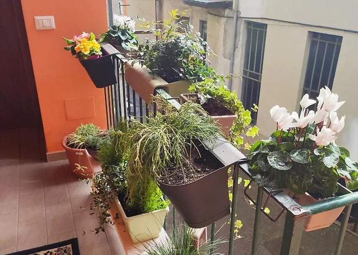 Antico Di Affittacamere Tollegno